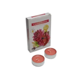 Vela Rechaud 6un - Cactus Flower